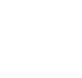 Palm Consulting LLC
