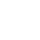 Palm Consulting LLC