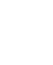 Palm Consulting LLC